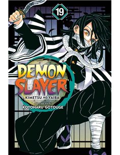 Demon Slayer Vol 19