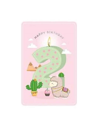 Happy Birthday 2 Girl - Greeting Card