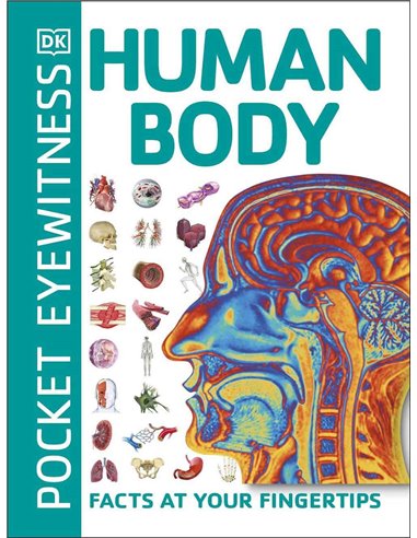 Human Body - Pocket Eyewitness