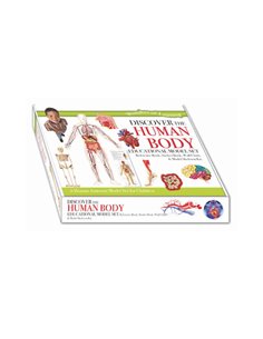 Discover Human Body Educational Model Set