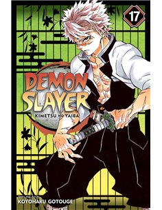 Demon Slayer Vol 17
