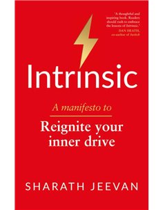 Intrinsic - A Manifesto To Reignite Your Inner Drive