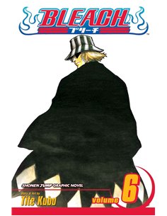 Bleach Vol. 06